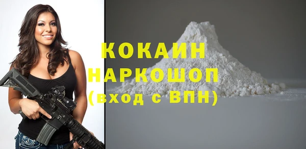 соль ск Богданович