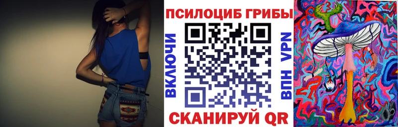 Галлюциногенные грибы Psilocybe  Купить закладки  Чекалин 