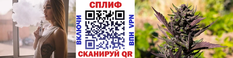 Шишки марихуана индика  Купить где  Чекалин 